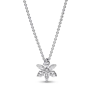 Herbarium Cluster Silver Collier