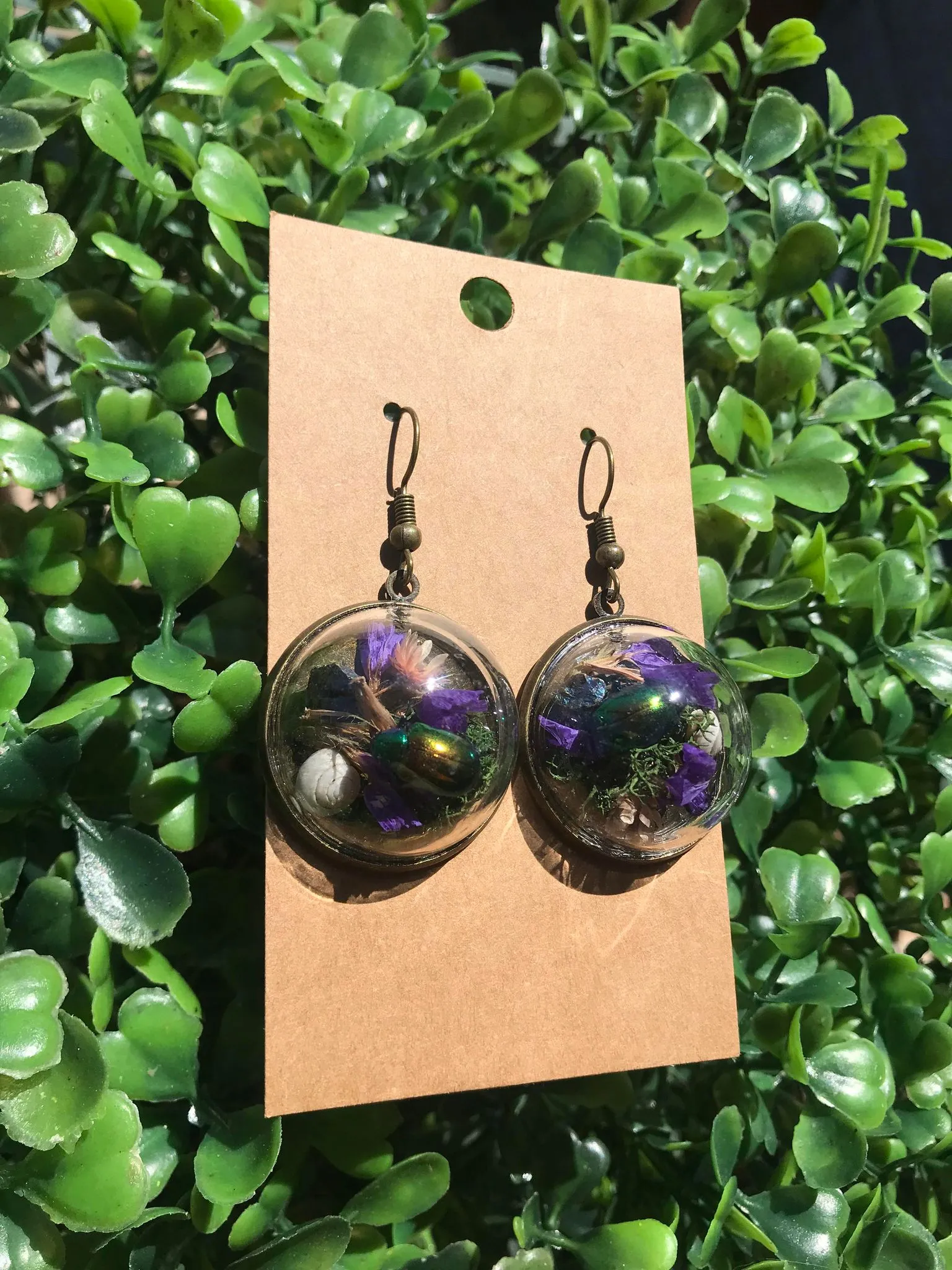 Real Dogbane Beetle terrarium earrings