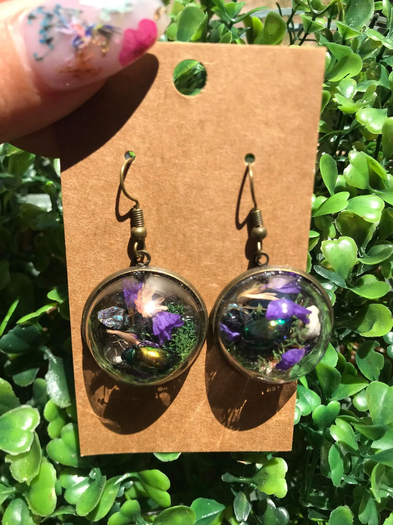 Real Dogbane Beetle terrarium earrings