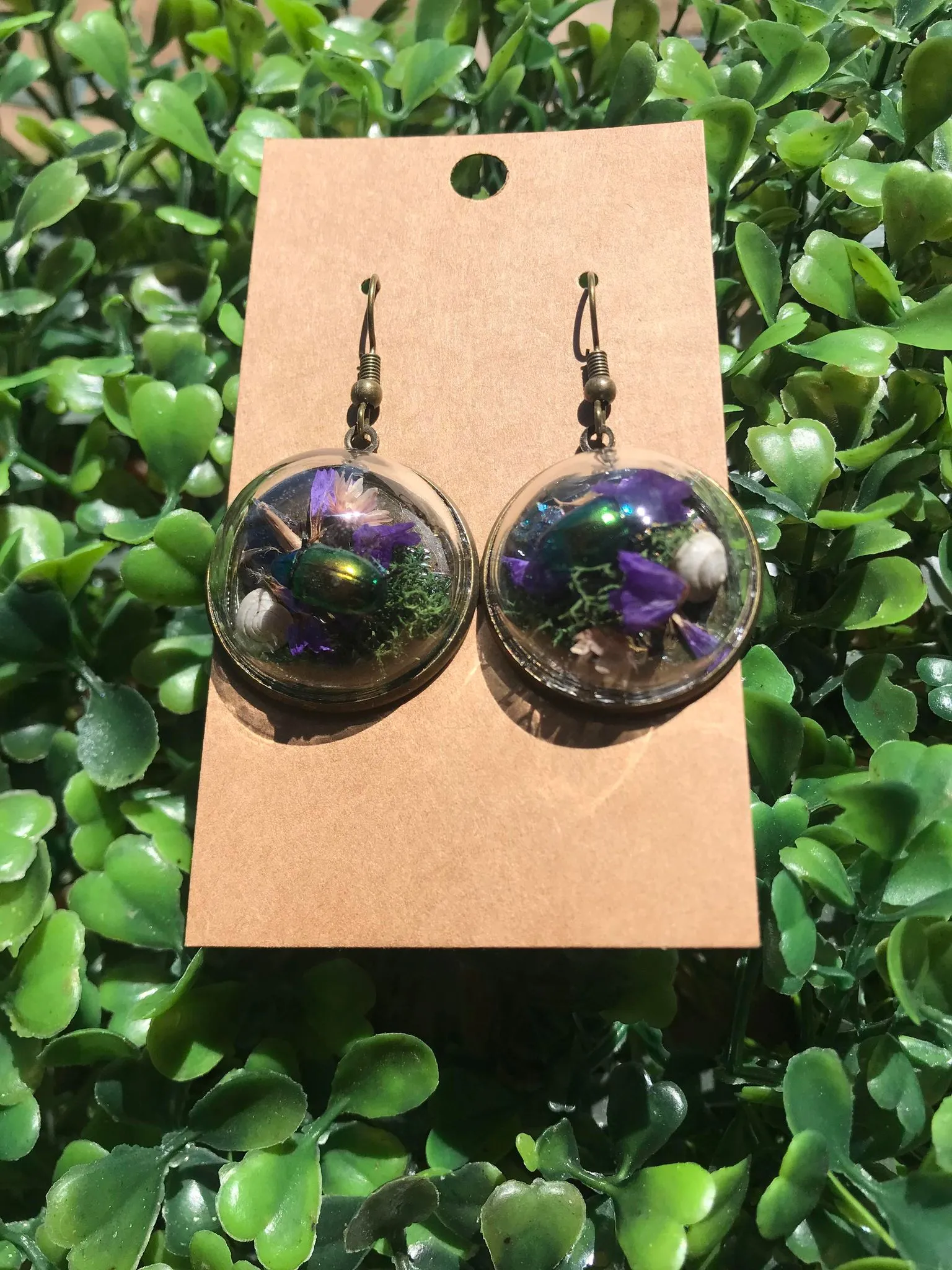 Real Dogbane Beetle terrarium earrings