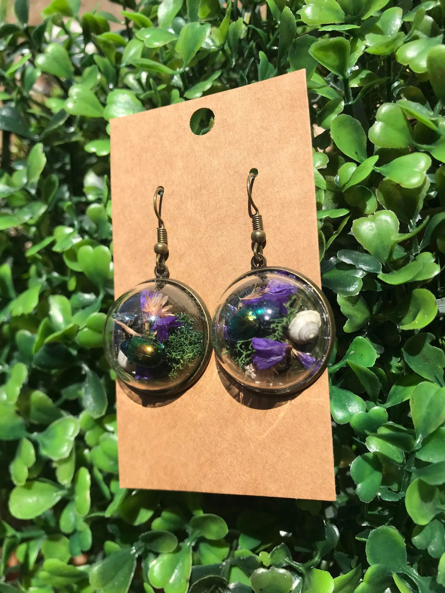 Real Dogbane Beetle terrarium earrings
